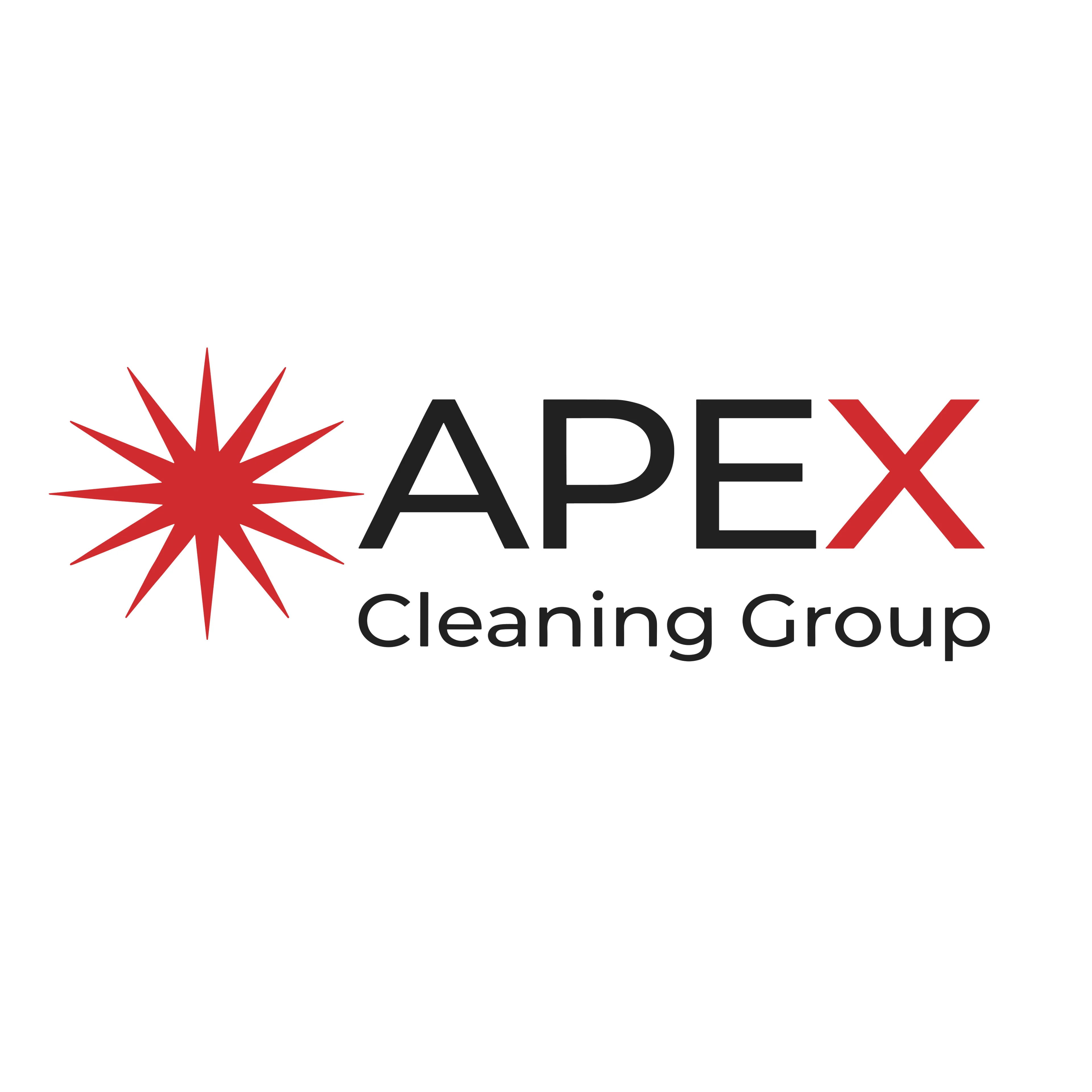 Equipo de limpieza profesional Apex Cleaning Group en acción